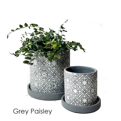 Boho Planter:  Grey Paisley / 5"