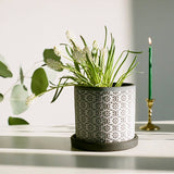 Boho Planter:  Grey Paisley / 5"