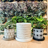 Boho Planter:  Grey Paisley / 5"