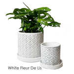 Boho Planter: White Flowers / 5"