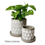 Boho Planter:  Grey Paisley / 5"