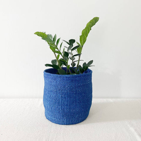 Blueberry Storage Plant Basket