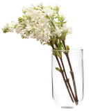 Hanging Glass Planter / Vase