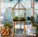 Terrarium Workshop Sunday, November 17th