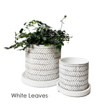 Boho Planter: White Flowers / 5"