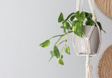 Macrame Beaded Hanging Plant Holder