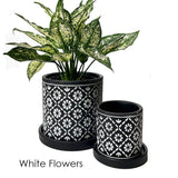 Boho Planter:  Grey Paisley / 5"