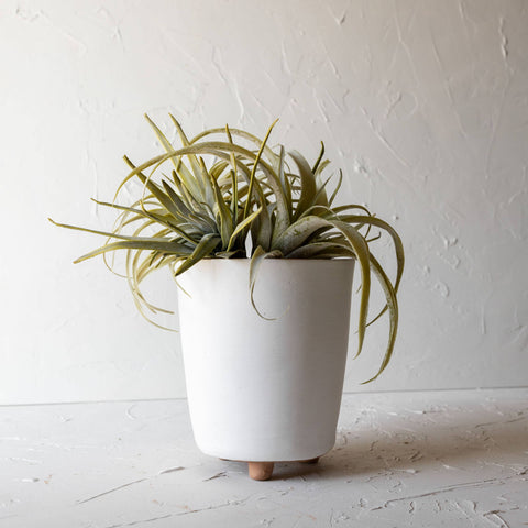 White Terracotta Footed Pot