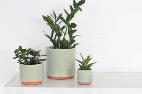 Sage Green\Terracotta Ceramic Pot