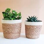 Handwoven Savar Plant Basket