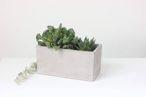Concrete Rectangle Planter Box